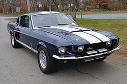 '67 GT 500 Pictures