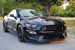 '16 GT 350 Pictures