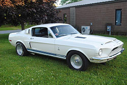 View '68 GT500 Pictures