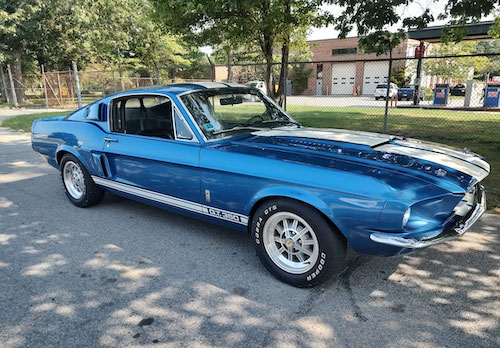View '67 mustang gt350 pictures