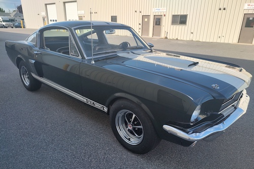 View '66 mustang gt350 pictures