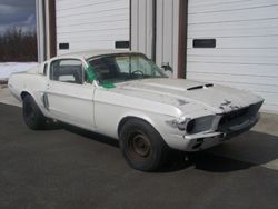 1967 Shelby GT500 pictures